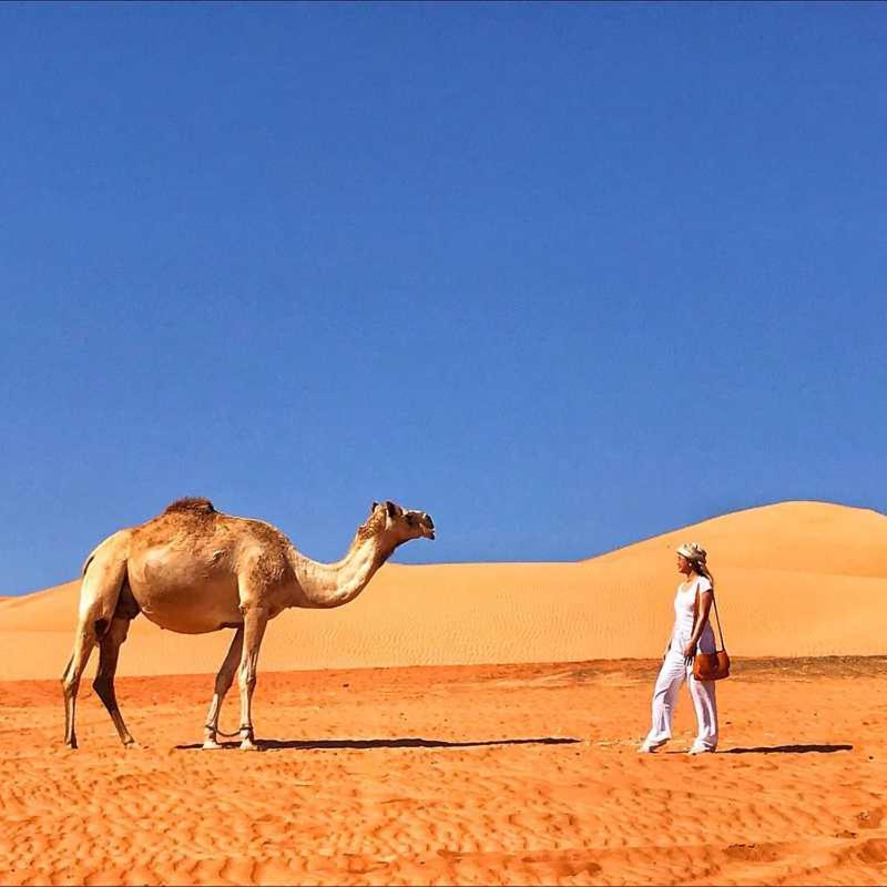 منزل الضيف الوصل  في Panorama Camp Bidiya المظهر الخارجي الصورة